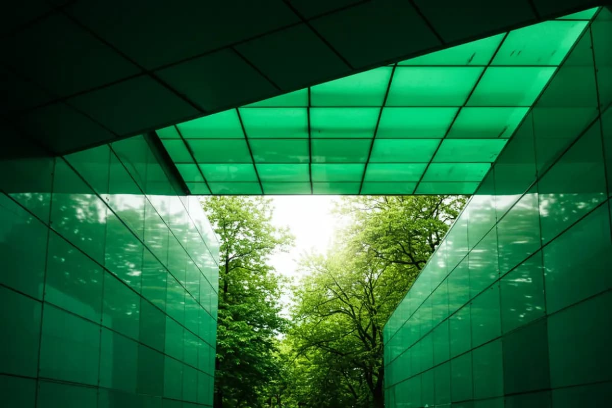 Contaminaciones acusticas