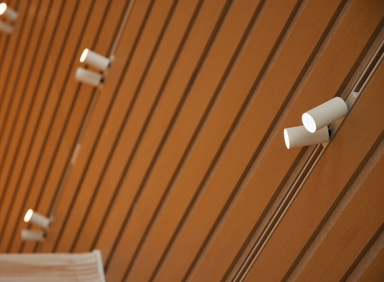 Showroom José Martínez Medina