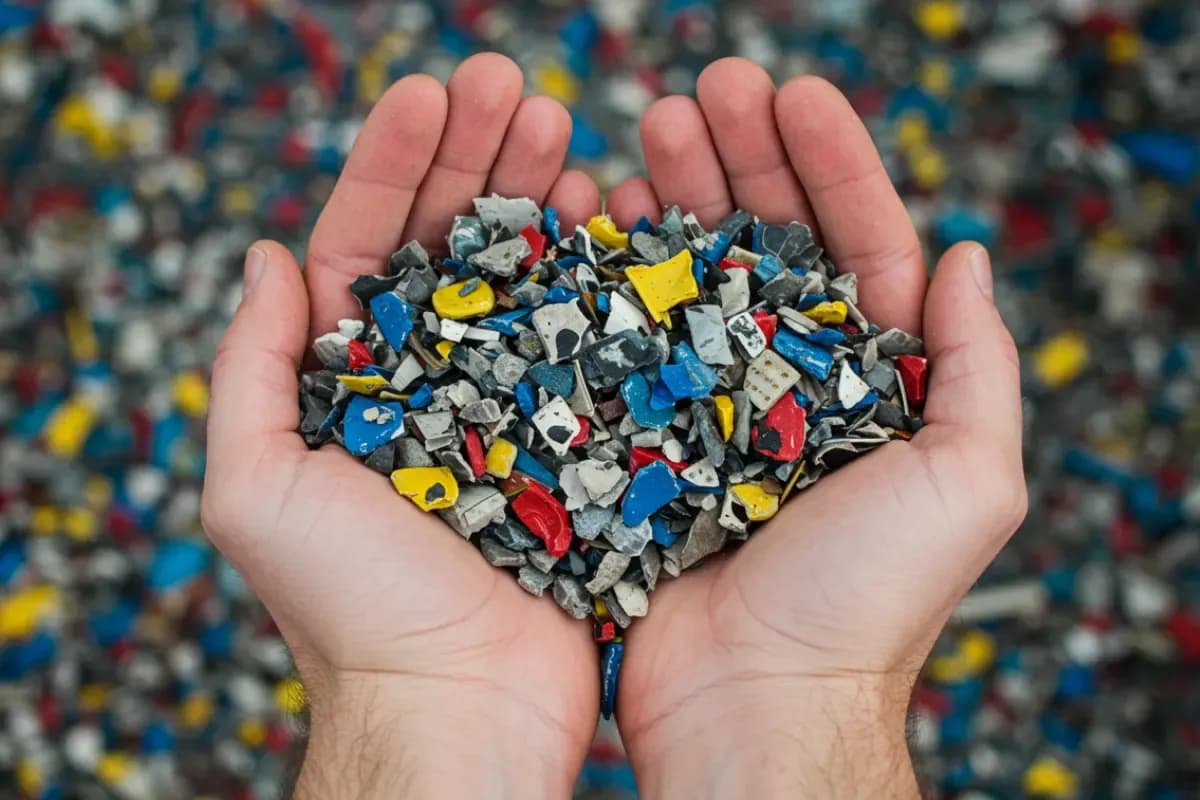 Sostenibilidad ambiental